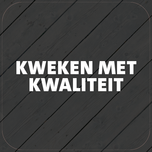 Paneel Koofsigning: 720 x 720 mm. Kweken tekst