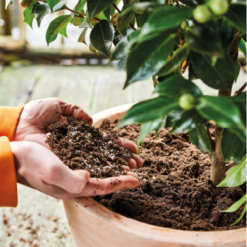 Paneel Koofsigning: 720 x 720 mm. Voeding beeld