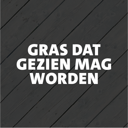 Paneel Koofsigning: 988 x 988. Gras tekst