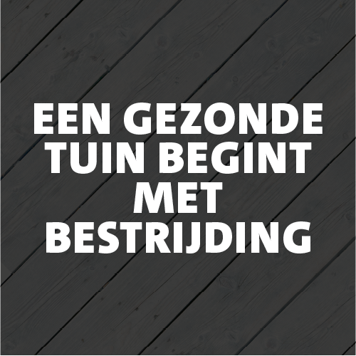 Paneel Koofsigning: 988 x 988. Bestrijding tekst
