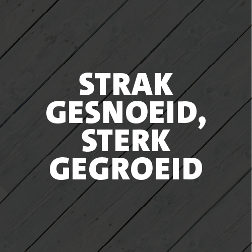 Paneel Koofsigning: 988 x 988. Snoeien beeld