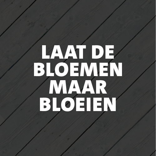 Paneel Koofsigning: 988 x 988. Bloeien tekst