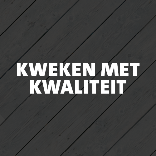 Paneel Koofsigning: 988 x 988. Kweken tekst
