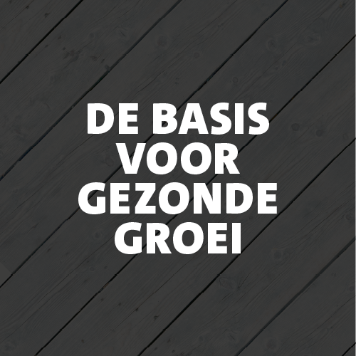 Paneel Koofsigning: 988 x 988. Plantenondersteuning