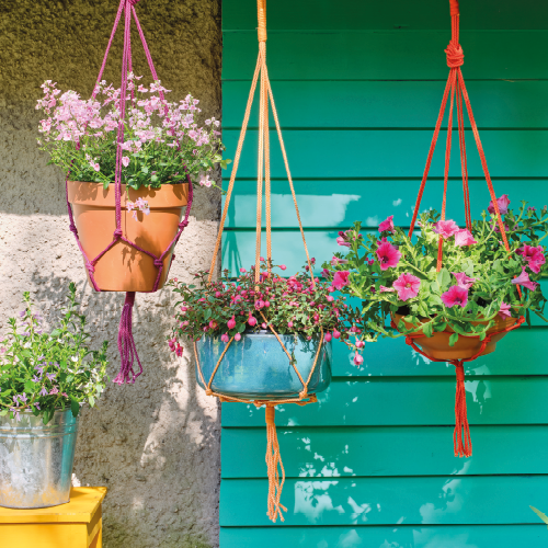 Paneel Koofsigning: 988 x 988. Zomerbloeiers tekst