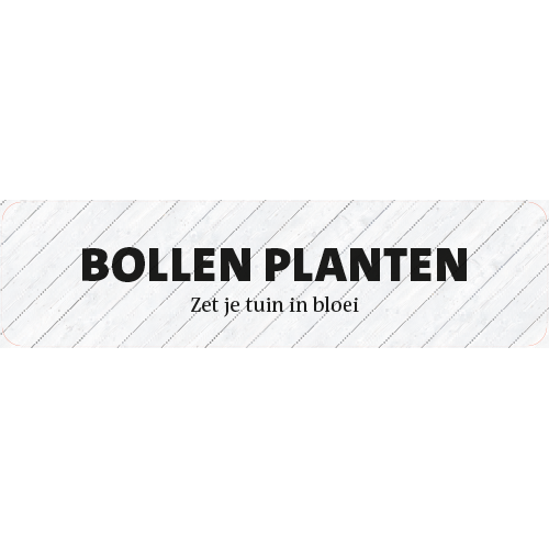 Paneel Koofsigning: 2720 x 720 mm. Bollen