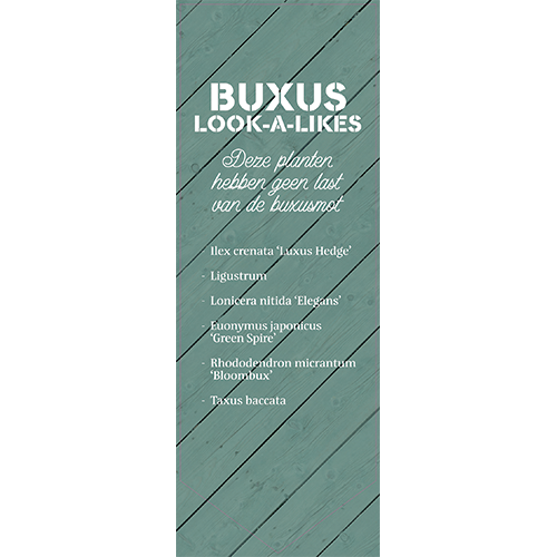 Paneel: 500 x 1400 mm. <br>Pinbanier Buxus <br>alternatief