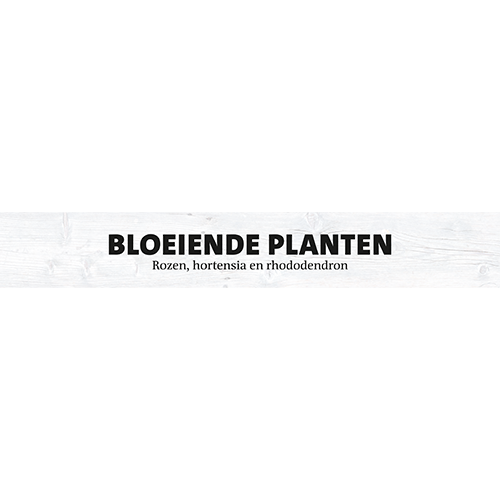 Magneetfolie: 1000 x 150 mm. <br>Bloeiende planten