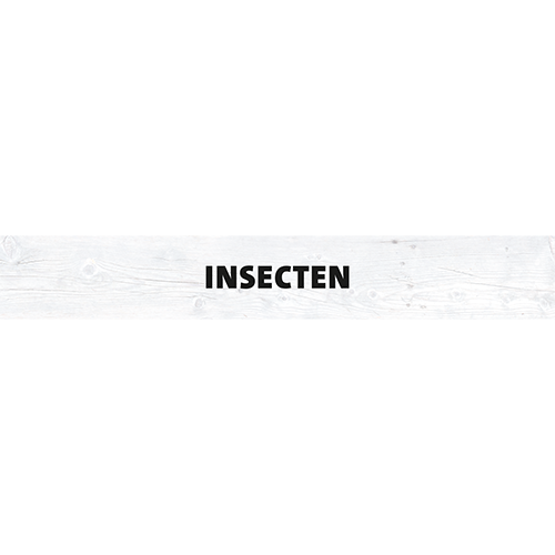 Magneetfolie: 1000 x 150 mm. <br>Insecten