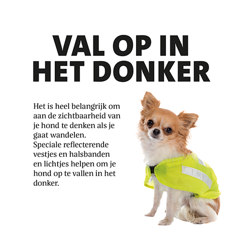 Magneetfolie: 400 x 400 mm. <br>Hond val op in het donker