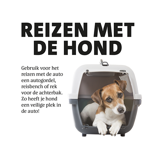 Magneetfolie: 400 x 400 mm. <br> Hond reizen met de hond