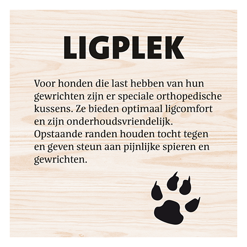 Magneetfolie: 400 x 400 mm. <br>Hond hondenkussen