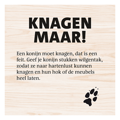 Magneetfolie: 400 x 400 mm. <br>Knaagdier knagen