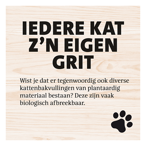 Magneetfolie: 400 x 400 mm. <br>Kat bak voorkeur eigen grit