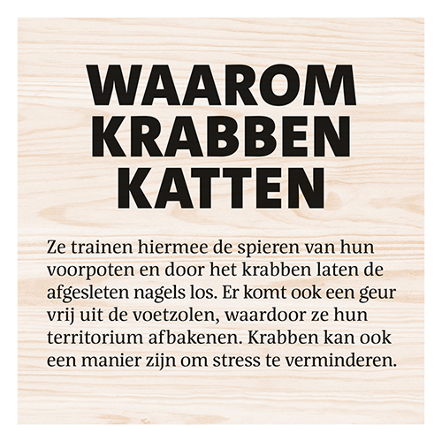 Magneetfolie: 400 x 400 mm. <br>Kat krabpalen waarom krabben <br>katten