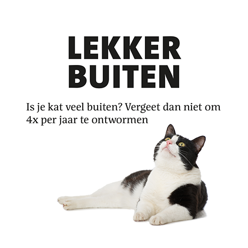 Magneetfolie: 400 x 400 mm. <br>Kat ontwormen