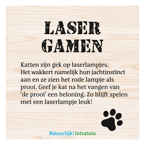 Magneetfolie: 400 x 400 mm. <br>Kat speelgoed laser gamen