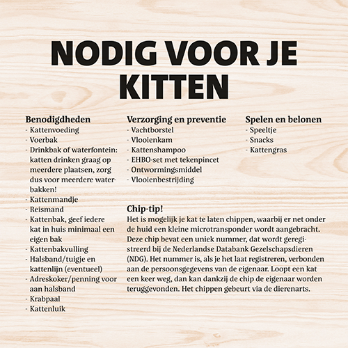 Paneel: 988 x 988 mm. <br>Kat kitten info