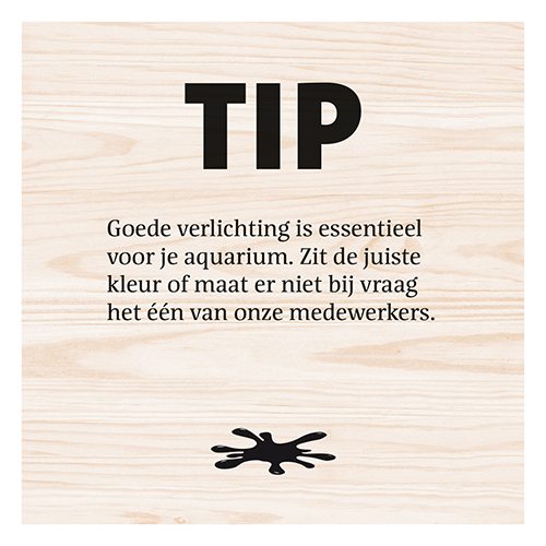 Magneetfolie: 400 x 400 mm. <br>Vis verlichting tip