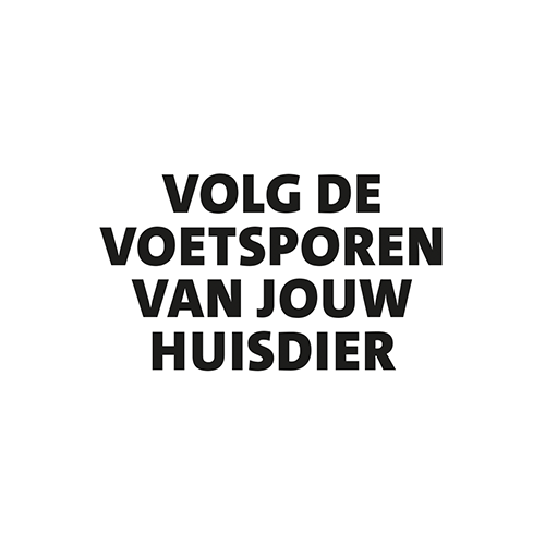 Paneel: 300 x 150 mm. <br>Voetsporen