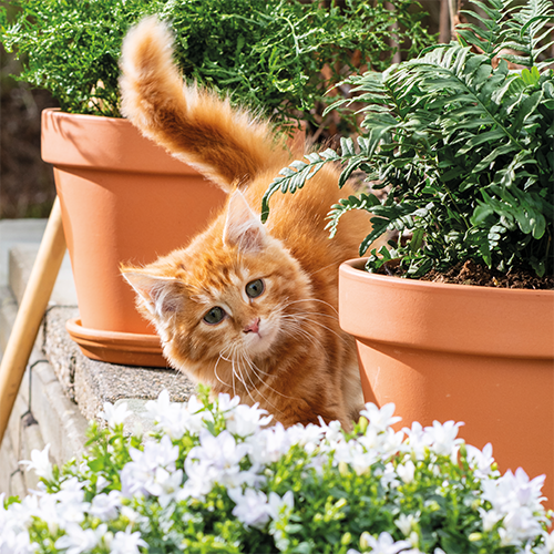 Paneel: 988 x 988 mm. <br>Beeld dier 3