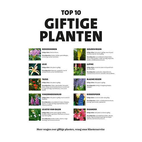 Paneel: 700 x 1000 mm. <br>Giftige planten