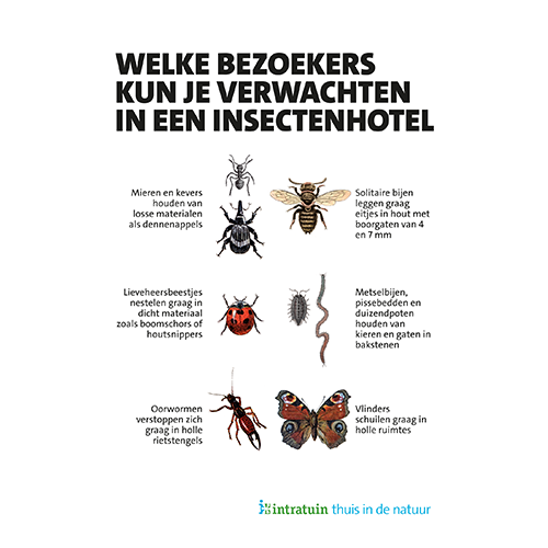 Magneetfolie: 985 x 1400 mm. <br>Insectenhuis