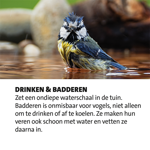 Magneetfolie: 400 x 400 mm. <br>Maak het de vogels makkelijk-vogels