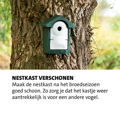 Magneetfolie: 400 x 400 mm. <br>Maak het de vogels makkelijk-huisje