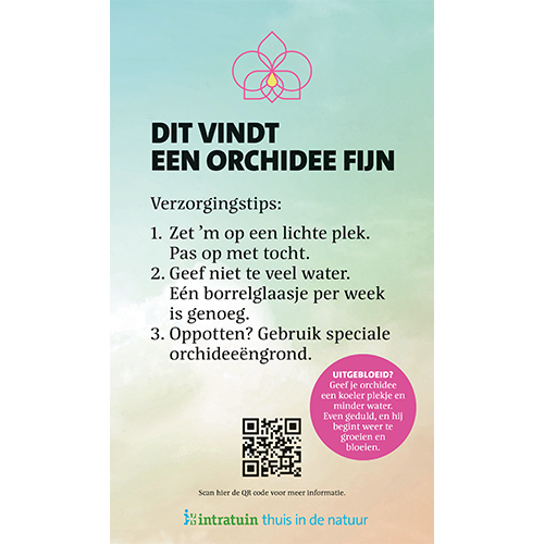 Paneel: 438 x 734 mm. <br>Palletbord orchidee