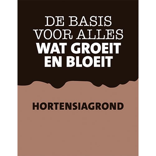 Magneetposters: 380 x 490 mm. <br> hortensiagrond