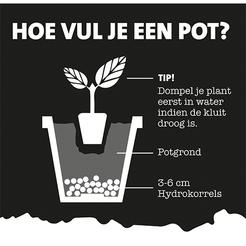 Paneel: 440 x 428 mm. <br> Palletborden 3