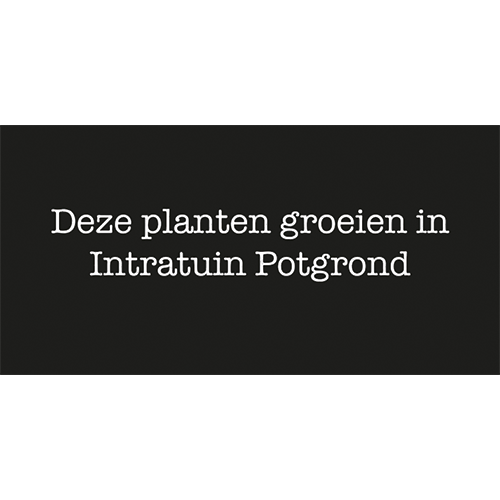 Paneel: 100 x 50 mm. <br>Plantenbakbord