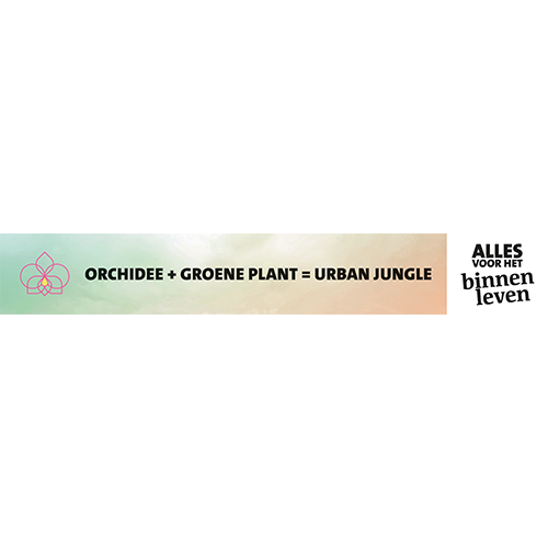 Paneel: 1555 x 230 mm. <br>Plantentafelstrook Trendopstelling<br>orchidee