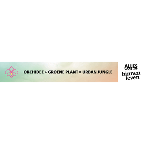 Paneel: 1595 x 230 mm. <br>Plantentafelstrook Trendopstelling<br>orchidee