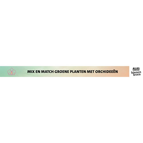 Paneel: 2977 x 230 mm. <br>Plantentafelstrook trendopstelling<br>orchidee