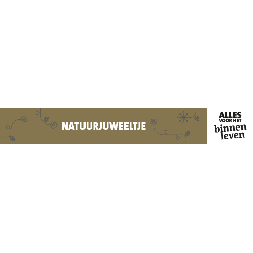 Paneel: 1595 x 230 mm. <br>Plantentafelstrook trendopstelling<br>natuurjuweeltje