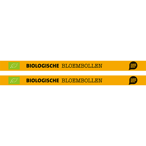 Plantentafelstrook: 1600 x 206 mm. Trendopstelling BIO bollen SGB Hemi (set van 2 stuks)