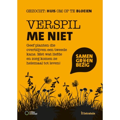 Poster: 297 x 420 mm. SGB 2e kans planten A3 02 (set van 4 stuks)