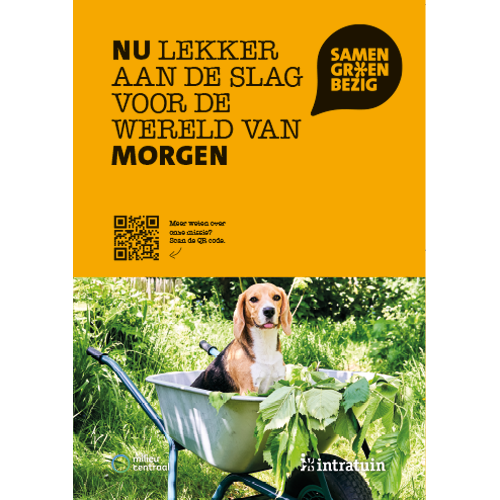 Poster: 700 x 1000 mm. SGB Aan de slag