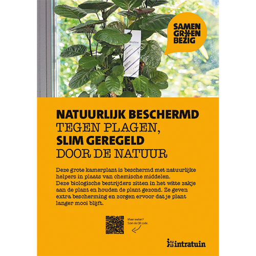 Poster: 290 x 408 mm. SGB Ammerlaan natuurlijke helpers (set van 4 stuks)