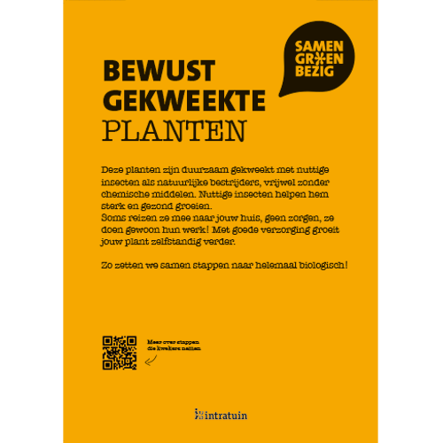 Poster: 297 x 420 mm. SGB bewust gekweekte planten A3 (set van 4 stuks)