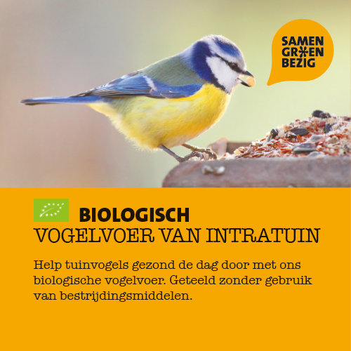 Magneet Subnavigatie 400 x 400 mm. SGB vogelvoer BIO