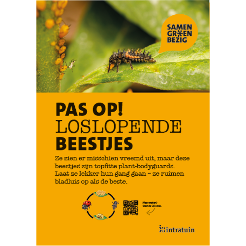 Poster: 204 x 290 mm. SGB Nuttige insecten A4 (set van 4 stuks)