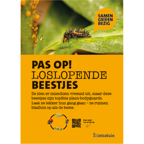 Poster: 290 x 408 mm. SGB Nuttige insecten A3 (set van 4 stuks)