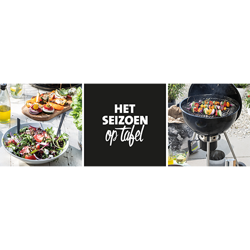 Paneel: 2988 x 988 mm. <br>Beeld HR 01