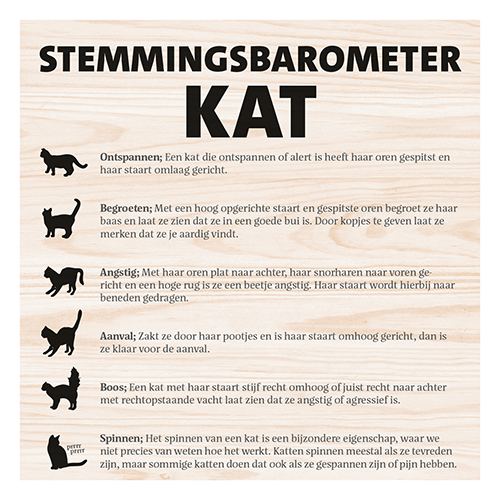 Magneetfolie: 400 x 400 mm. <br>Stemmingsbarometer kat