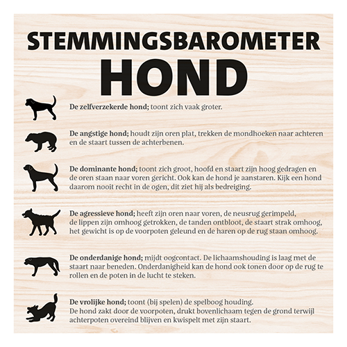 Magneetfolie: 400 x 400 mm. <br>Stemmingsbarometer hond