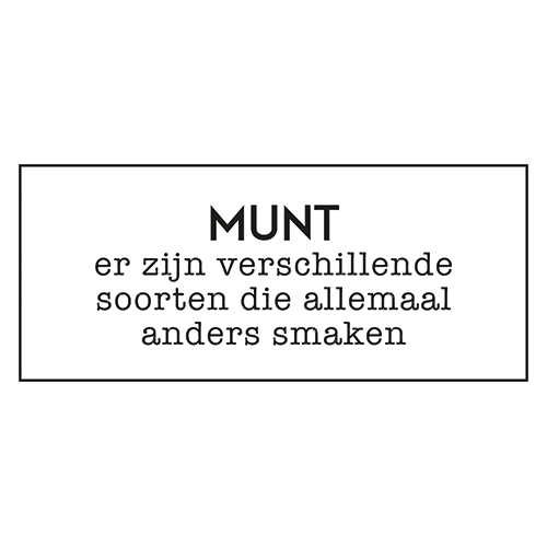 Paneel: 150 x 70 mm. <br>Munt