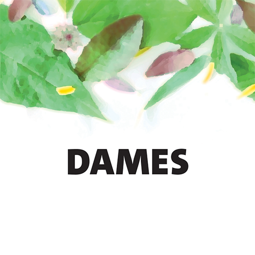 Paneel: 200 x 200 mm. <br>Deurbordje toilet dames